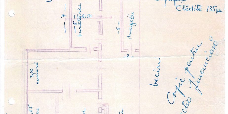 Casă singură pe curte pe str. I. Gh. Duca